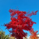 소담동_새샘512동앞BRT(대전방향) | 소담동 아파트 중흥에듀마크 새샘마을1단지 아파트 정보 안내