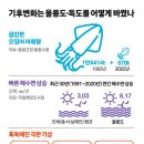 동해비어