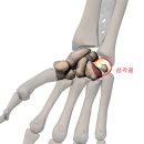 화목한의원 이미지