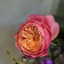 (주)원그램 이미지