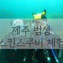 더 비비스 제주(The BB`s JEJU) 이미지
