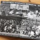 김준농장 이미지