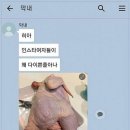 인스타 - 연수구 대암로 31 | 인스타