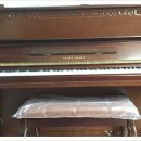 이안리폼 이미지