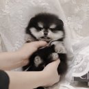 인덕원동-1 이미지