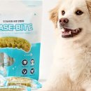 덴탈링크 이미지