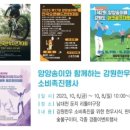 남대천 야구장_리틀 이미지