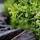 수 하우스 이미지