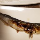 다찌