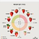 매지밀 딸기농장 이미지