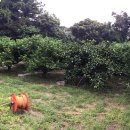 난산리-8 이미지