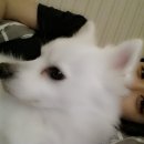 늦잠