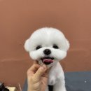 몽크의 아뜰리에 이미지