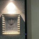 [광주/수완지구] 카페 펄키하우스 내돈내산 추천 후기