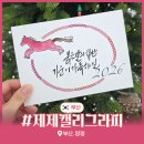 제제캘리그라피
