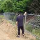 철선농장 이미지