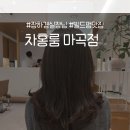 장하경헤어 | 차홍룸 마곡점, 장하경 실장님께 받은 빌드펌 후기, 발산동미용실 추천