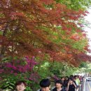 라온퍼스트 태권도장 이미지