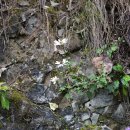 원동재로 이미지