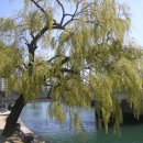 아침나무한의원 이미지