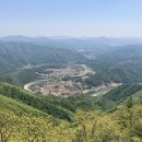 브렌따노편의점