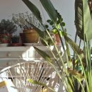 왕초보영어 이미지