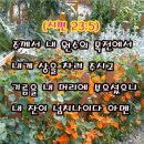 동해상회 이미지