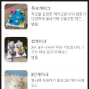 특별한 기념일을 위한 여수 주문제작 생화케이크 맛집 [싱케이크]
