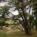 오덕 1리 이미지