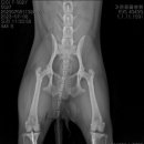 가온동물의료센터 이미지