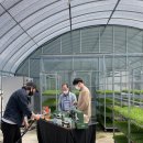 여수잡곡영농조합법인 이미지