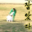 삼성파출소 | 버즈 찾기 대작전_점유 이탈물 횡령죄 신고, 합의 후기, 꿀팁(?)