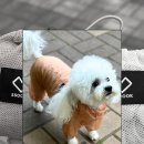 아이빌텔 | 강아지해충방지 쏘오옥 메쉬커버롤 두마리 만족 후기