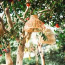 왕궁포레스트 이미지