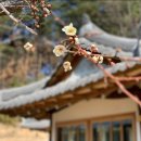 장평인력