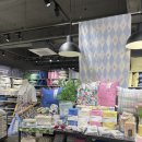 모던하우스 | 광주 유스퀘어 모던하우스 방문후기 /추천템 3가지