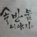 솔방울1 Daum카페