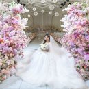 웨스턴빌리프