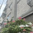 맑은샘정신건강의학과의원 이미지