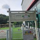 댕댕이 카페 | 동탄 애견동반 카페 리앤드딩 내돈내산 후기 댕댕이와 나 둘다 만족한 이유