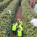 부평초등학교 이미지