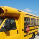 버드스쿨 이미지