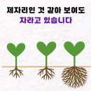 서호건설산업 | [교실백점 공식서기][자율/교실백점(쌤동네)] 진로진학상담교사가 알려주는 우리 아이에게 맞는 진로...