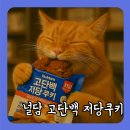 GS25북창 | GS25 널담 고단백 저당쿠키 화이트 초코 마카다미아 솔직 후기