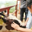 초정목장 이미지