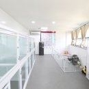 도담애견 이미지