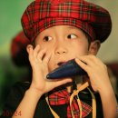 성화초등학교 이미지