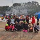 용인대 청당 태권도 이미지