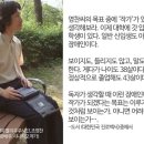 보이지도, 들리지도 않는 영찬 씨의 꿈 이미지