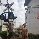 임항선그린웨이 이미지